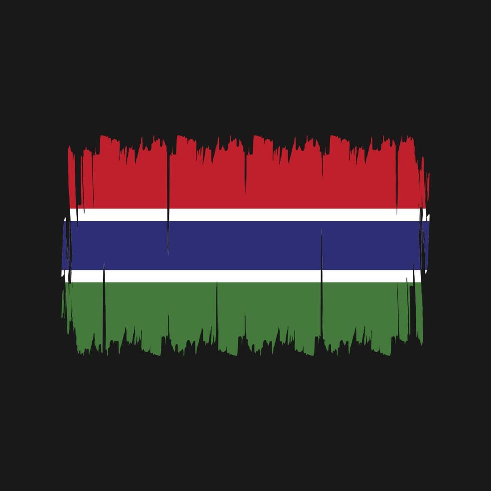 pennello bandiera gambia. bandiera nazionale vettore