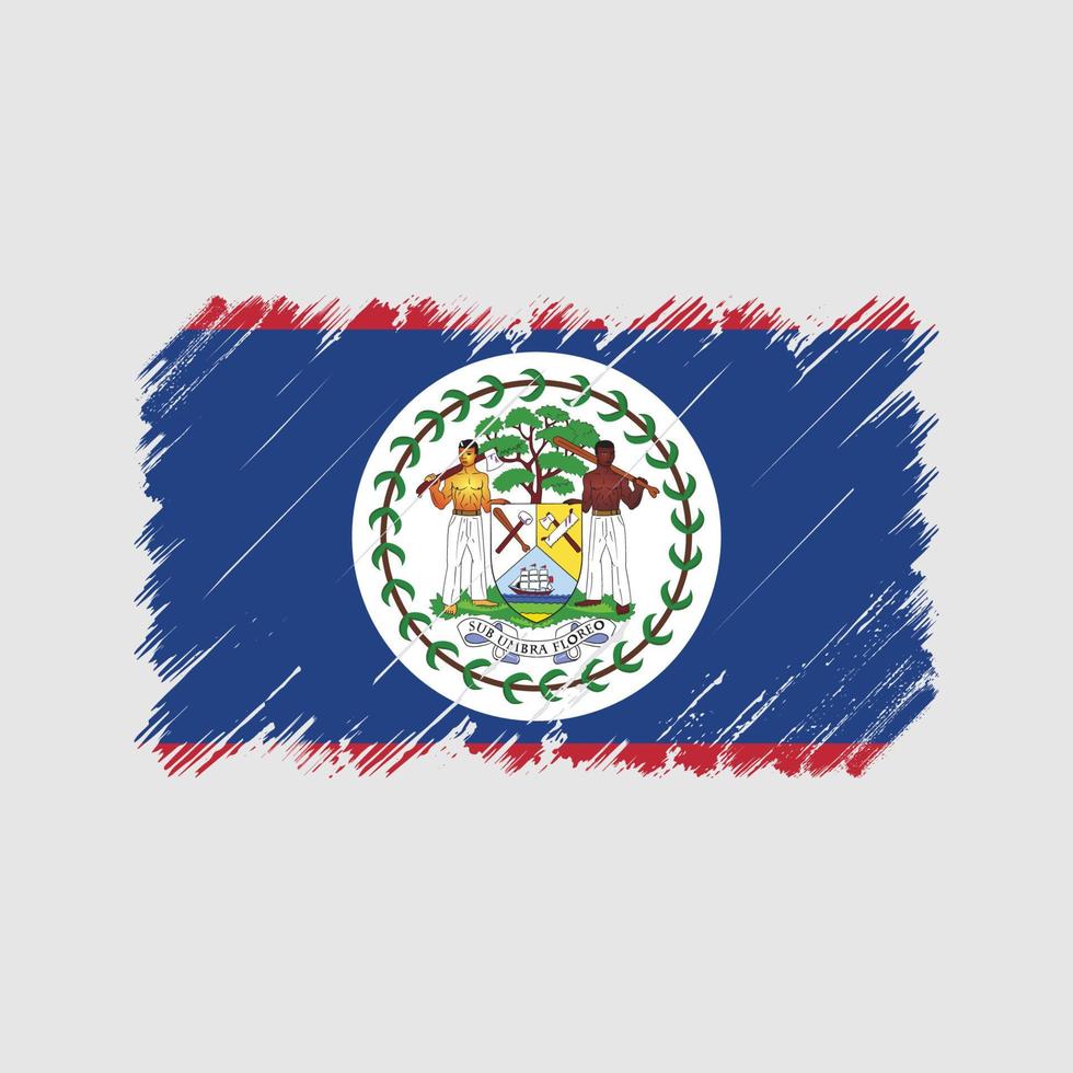 Belize flag pennellate. bandiera nazionale vettore