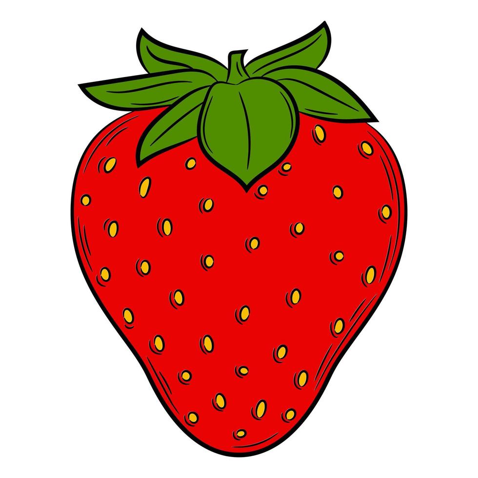 fragola in uno stile lineare. elemento decorativo vettoriale colorato, disegnato a mano.