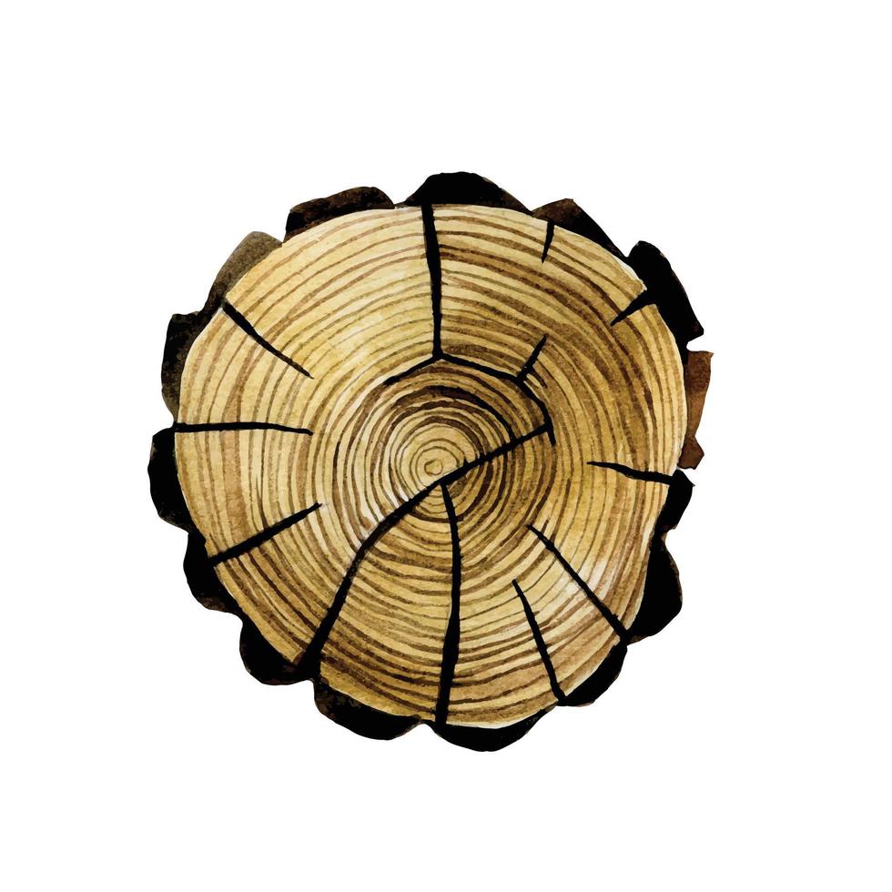 disegno ad acquerello, clipart sega tagliata di un albero. sega tagliata da un albero con crepe. isolato su sfondo bianco disegno a mano, stile scandinavo, materiali naturali vettore