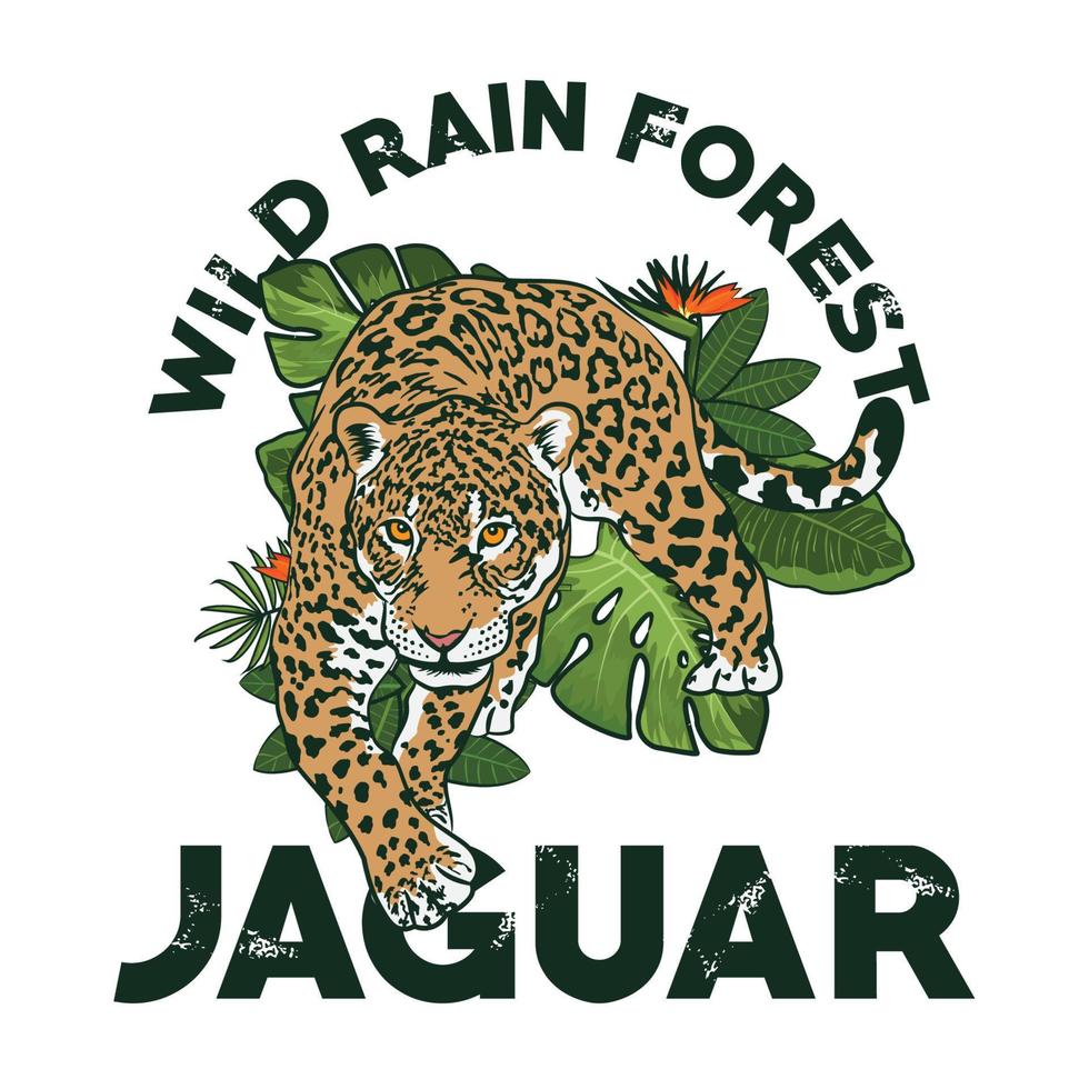 giaguaro selvaggio della foresta pluviale, perfetto per il design della maglietta e la ricerca sulla fauna selvatica e il logo della fondazione vettore