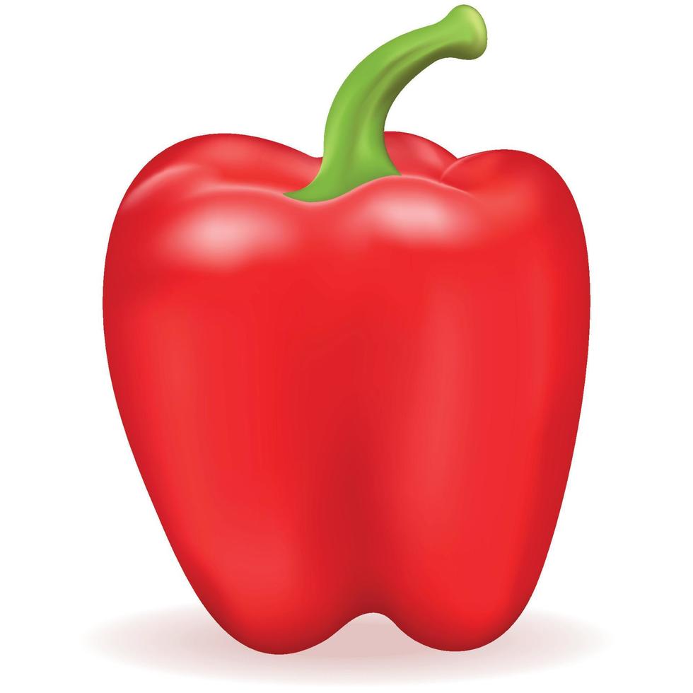 peperone rosso realistico isolato su priorità bassa bianca. cibo fresco vegetale e sano. vettore 3d