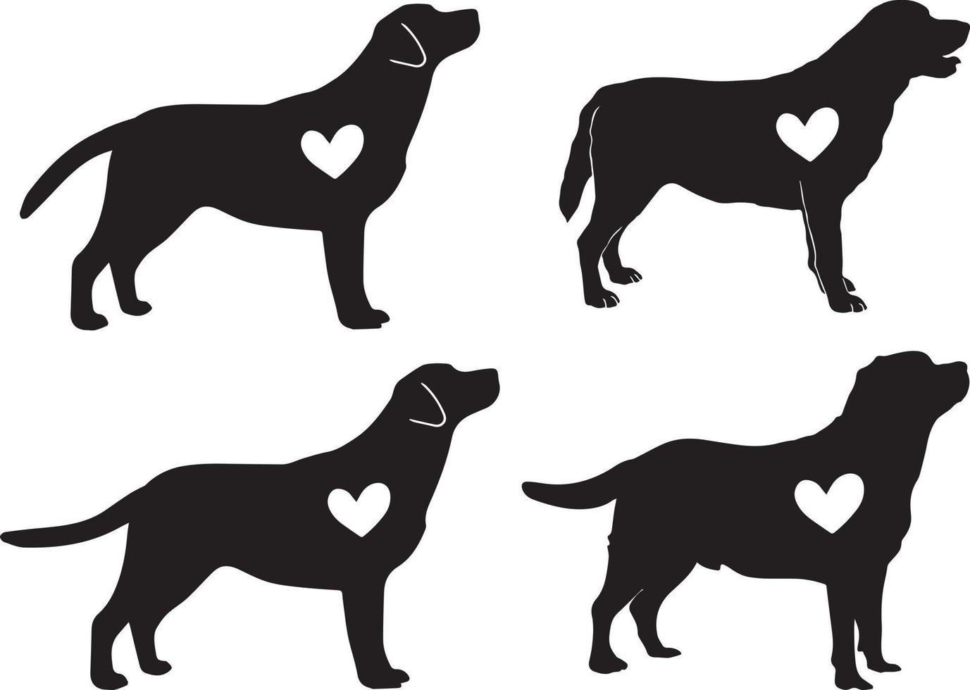 cuore di labrador retriever vettore