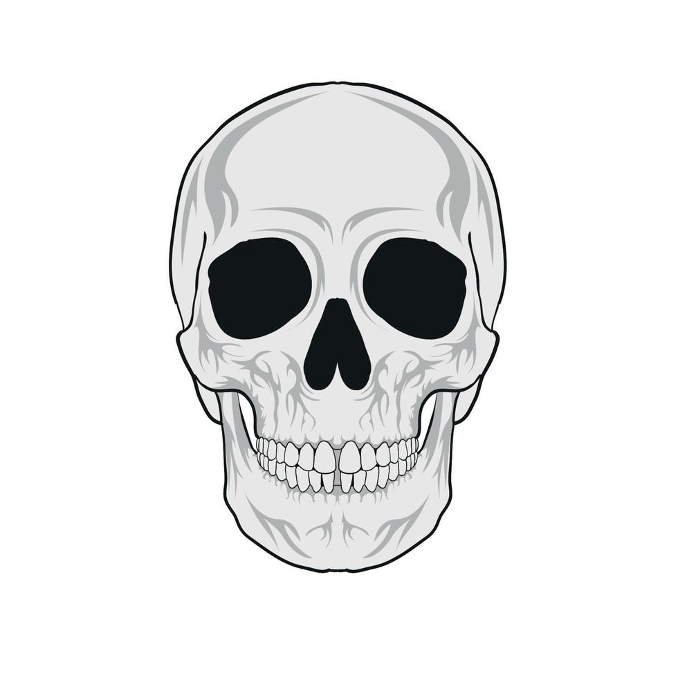 illustrazione vettoriale di testa del cranio