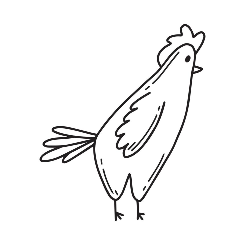 illustrazione vettoriale di un simpatico pollo in stile baby boho. pollo isolato su uno sfondo bianco. illustrazione vettoriale. stile scarabocchio.