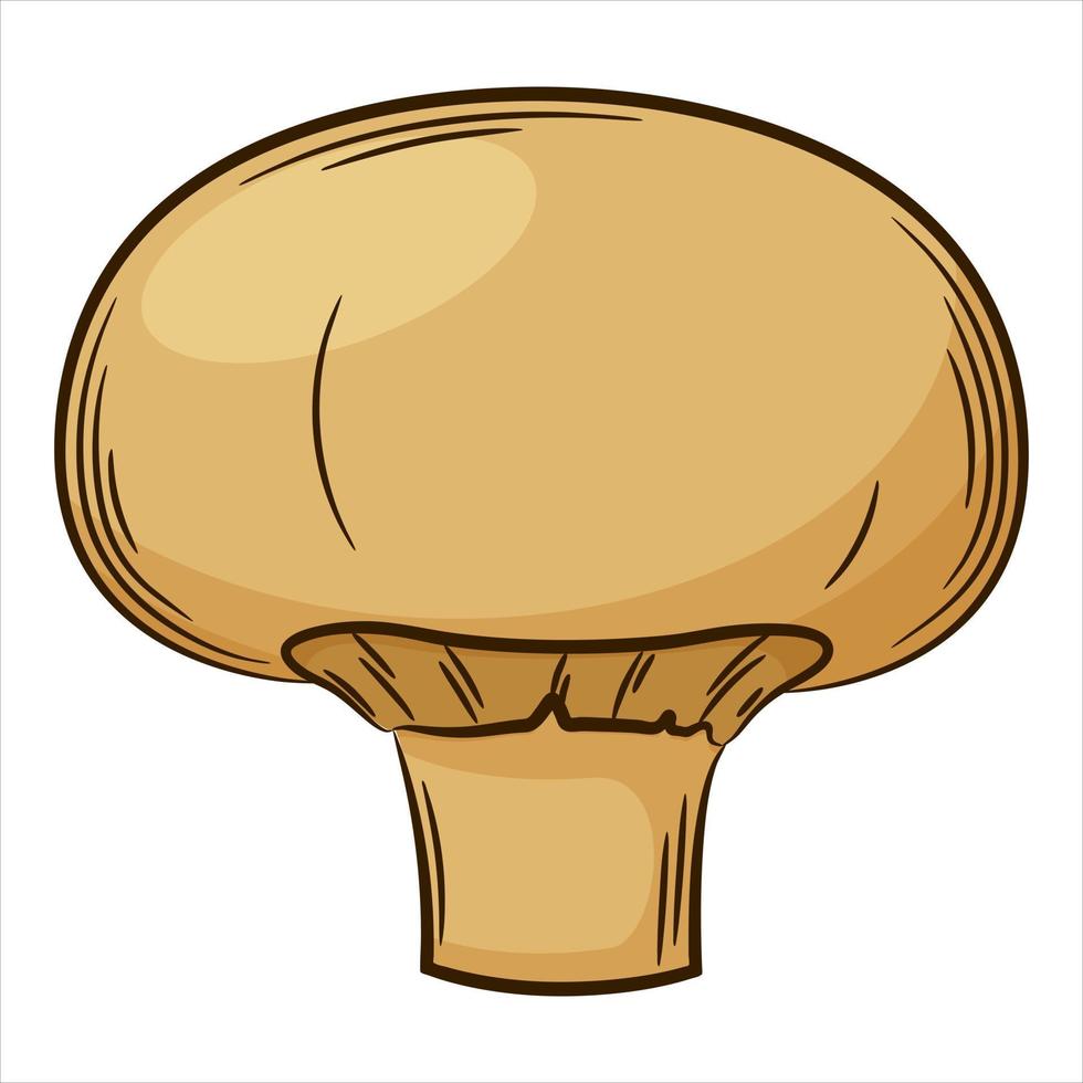 champignon, funghi. un ortaggio dallo stile lineare, disegnato a mano. ingrediente alimentare, design element.color illustrazione vettoriale con contorno. Isolato su uno sfondo bianco