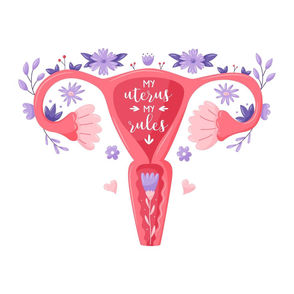 citazione di lettere femministe. il mio utero le mie regole. organo sessuale riproduttivo femminile dell'utero con piante. tipografia femminista. slogan di destra delle donne. concetto di diritti delle donne all'aborto. illustrazione vettoriale