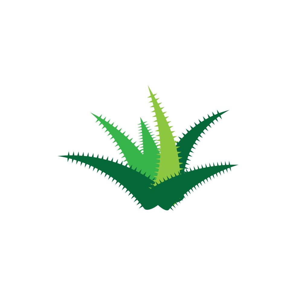 modello di illustrazione vettoriale logo aloe vera