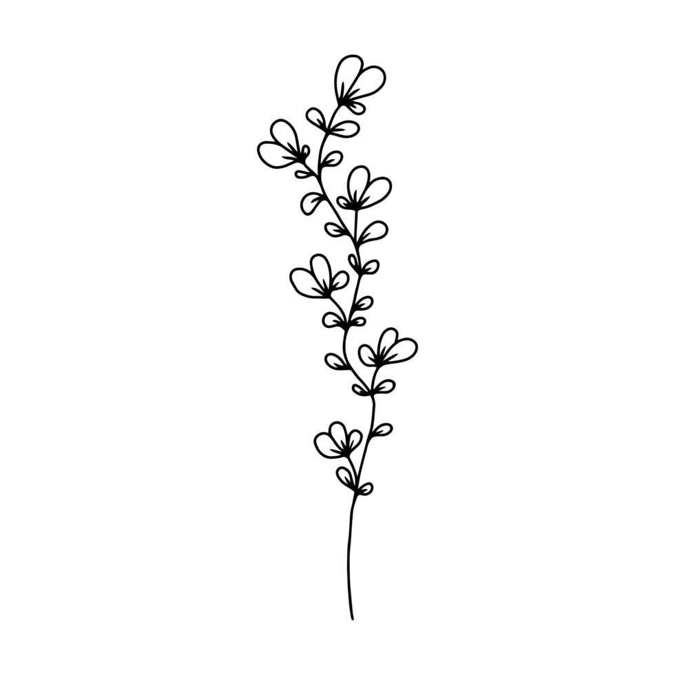 stelo disegnato a mano con foglie, ramoscello ed erba in stile doodle. disegno artistico dell'albero. isolato nero su bianco elementi per il design vettore