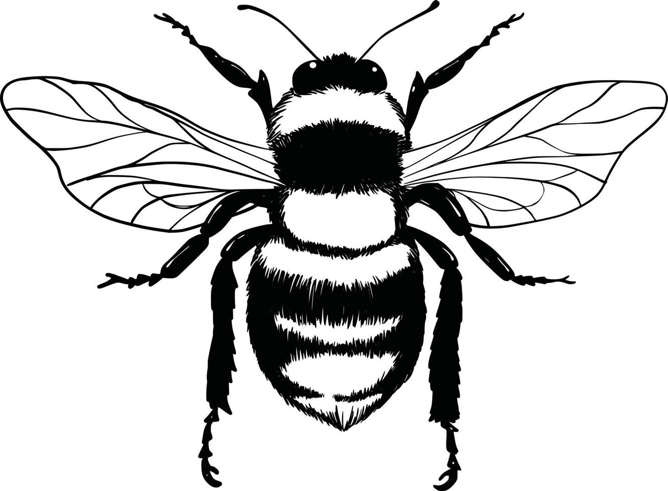 set di bombi. illustrazione vettoriale disegnata a mano. disegno vettoriale di albero delle api. schizzo di insetto disegnato a mano isolato su bianco. illustrazioni di calabrone in stile incisione.