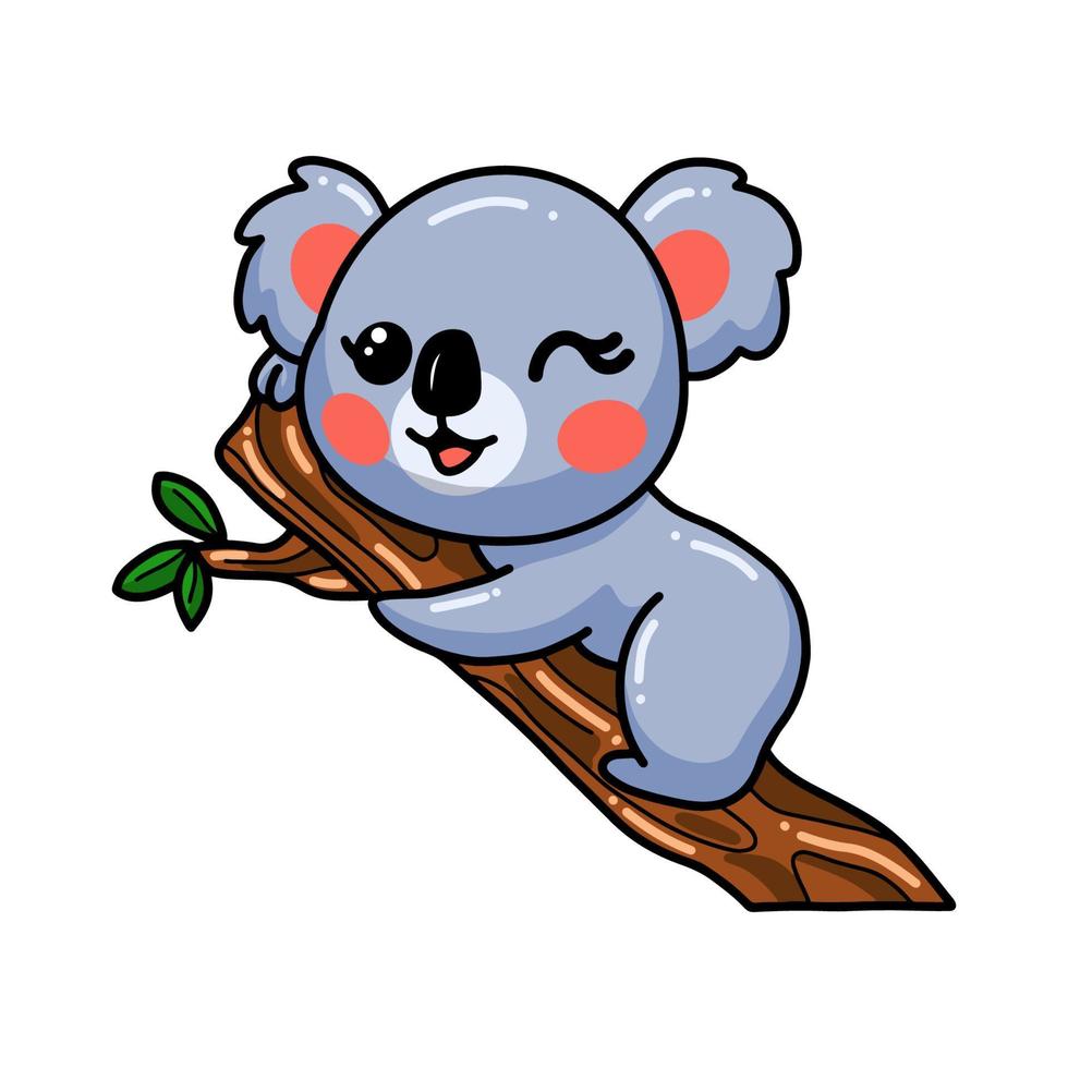simpatico cartone animato koala bambino sul ramo di un albero vettore