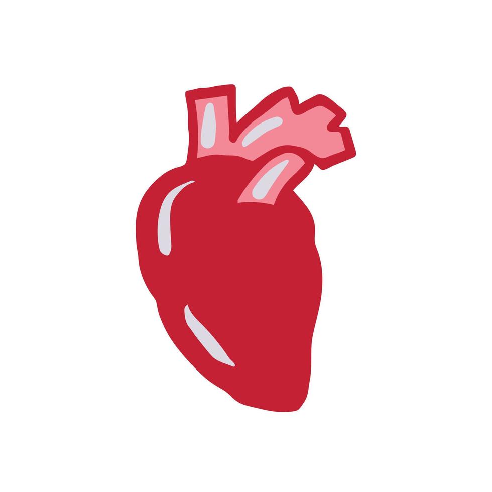 illustrazione vettoriale disegnata a mano semplice cardiologia del cuore
