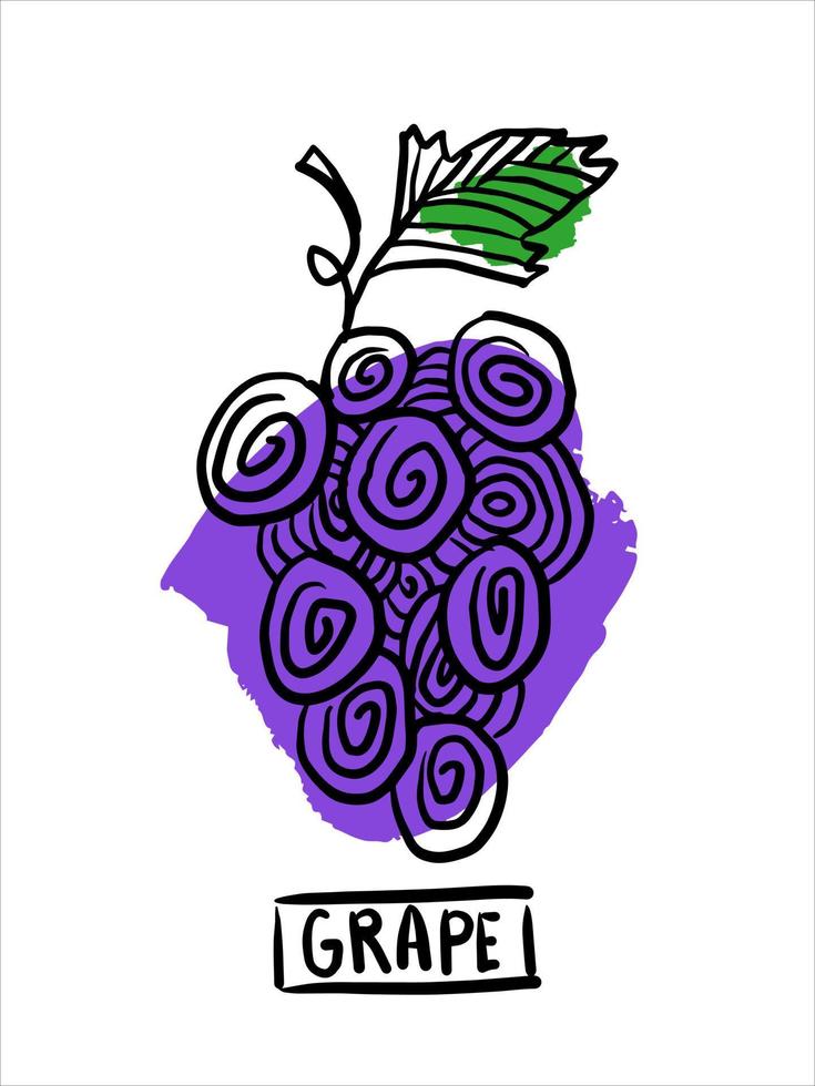 ramo d'uva con lettering doodle illustrazione vettoriale