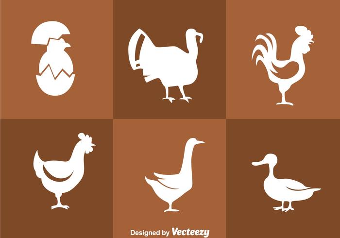 Icone della siluetta bianca dei polli vettore