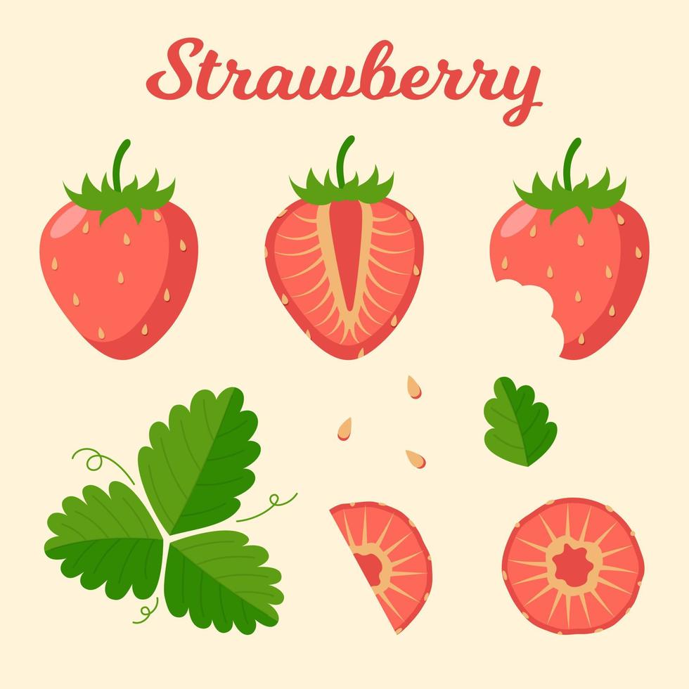 set di fragole e foglie mature. fette di fragola tagliata. illustrazione vettoriale piatta.