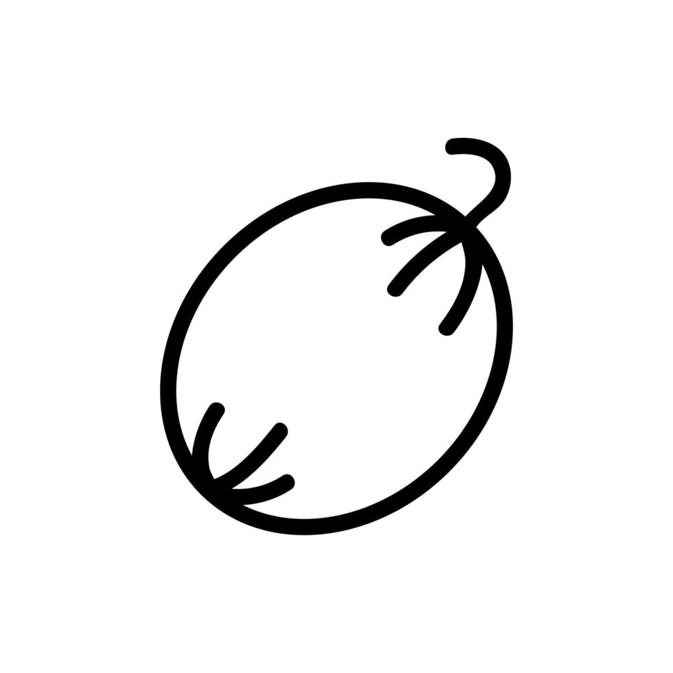 illustrazione del contorno vettoriale dell'icona del melone intero
