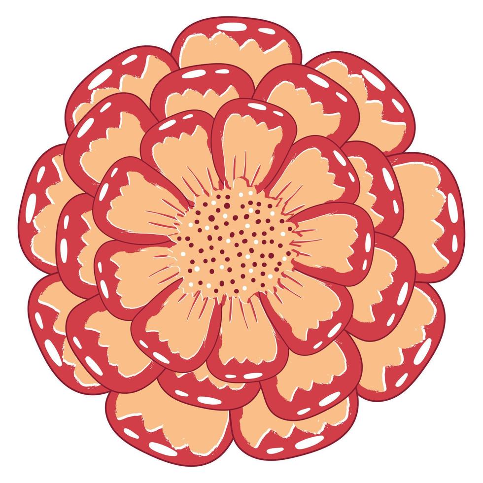 semplice fiore di calendula rosso arancio in stile piano isolato su priorità bassa bianca vettore