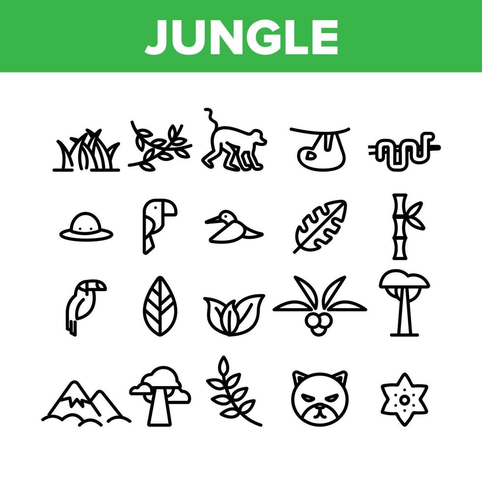 le icone degli elementi della raccolta della foresta della giungla hanno messo il vettore