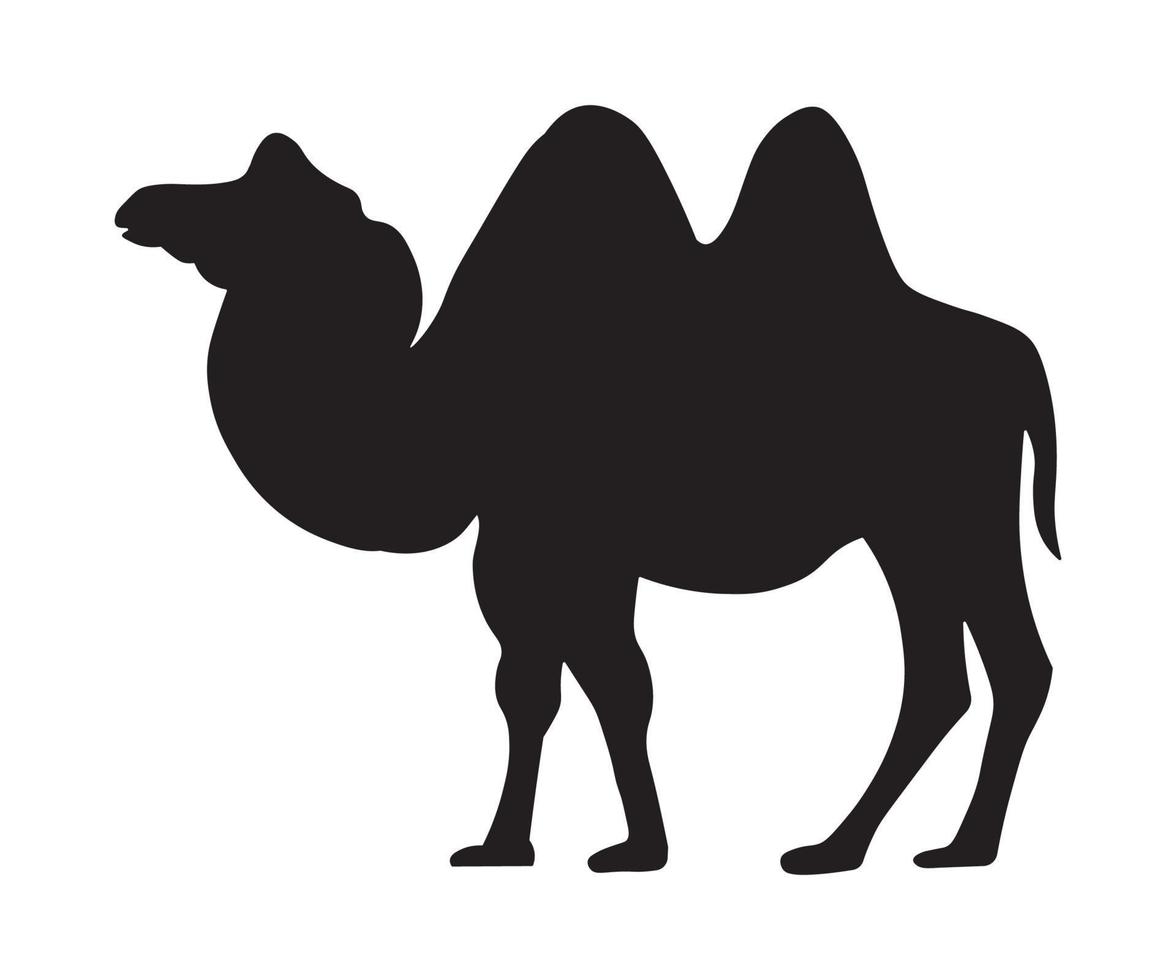 sagoma nera, ombra di un cammello a doppia gobba vettore