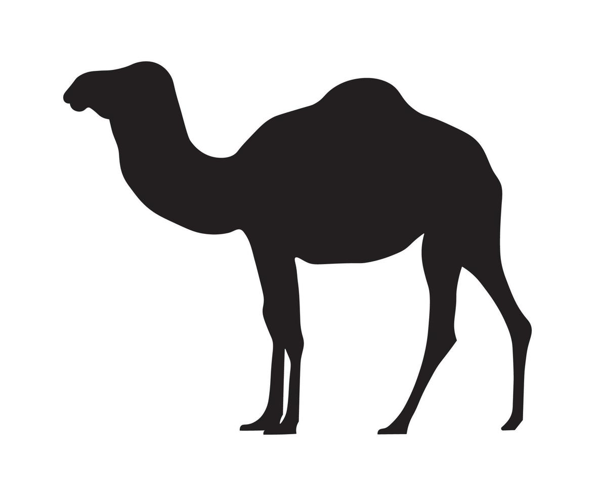sagoma nera, ombra di un cammello con una gobba vettore