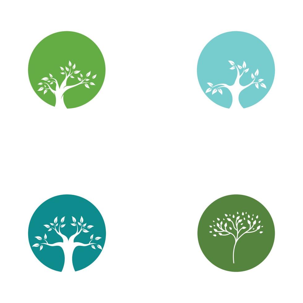 disegno del logo dell'albero vivente, utilizzando un concetto di modello di illustrazione vettoriale. vettore
