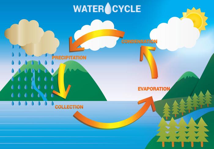 Vettore del diagramma del ciclo dell'acqua