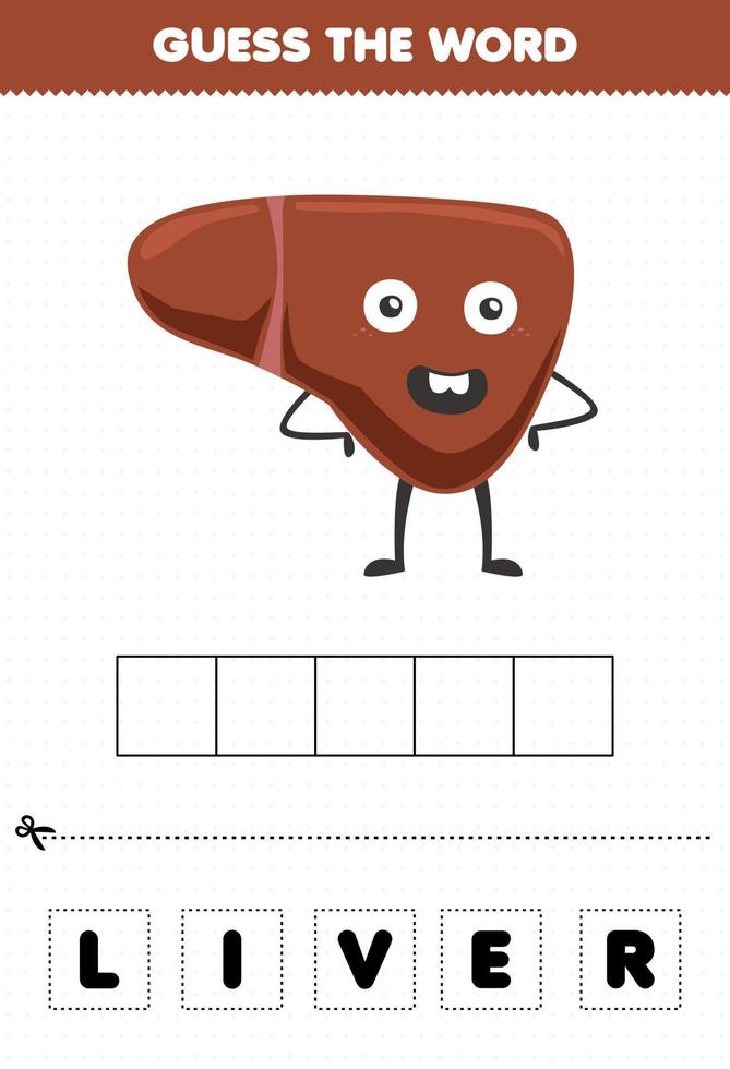 gioco educativo per bambini indovina le lettere di parola praticando il fegato dell'organo interno dei cartoni animati carino vettore
