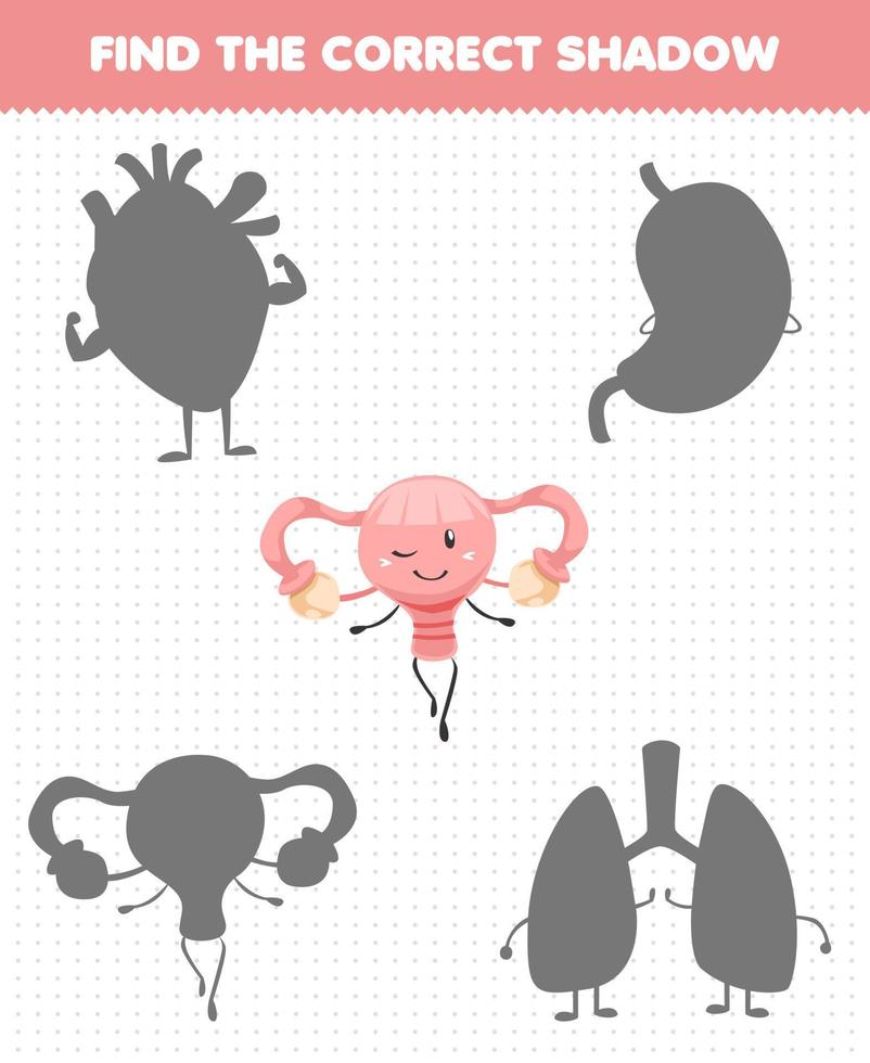 gioco educativo per bambini trova il set di ombre corretto dell'utero dell'organo umano simpatico cartone animato vettore