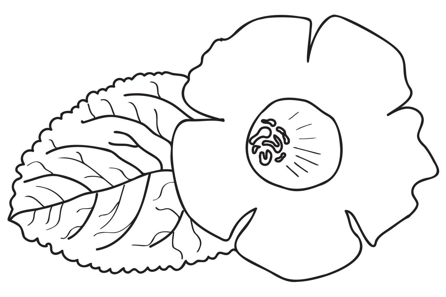 le gesneriaceae disegnate con un contorno nero sono destinate al tatuaggio, alla colorazione, alle carte, alla stampa, a San Valentino, all'8 marzo e puoi usarlo in diversi casi vettore