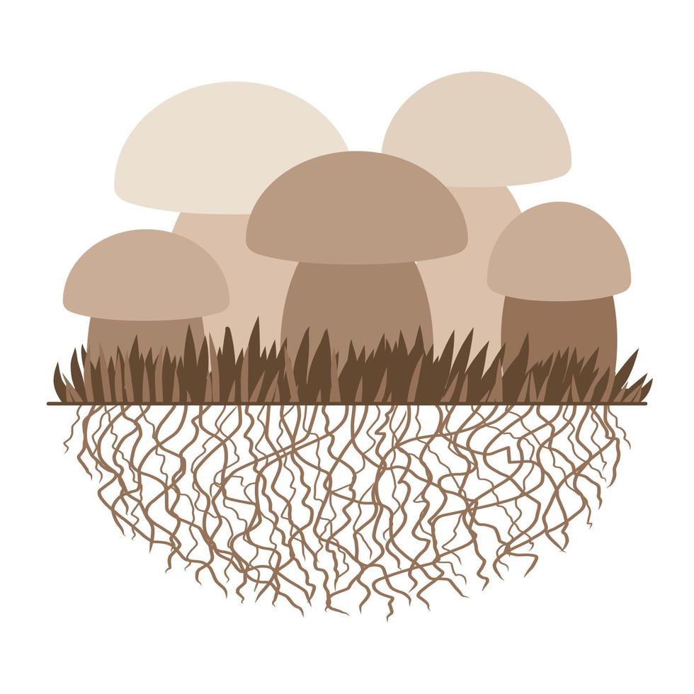 funghi e vegetazione. fungo della riproduzione. micelio e spore. illustrazione vettoriale. stile piatto. monocromo. isolato su bianco. vettore