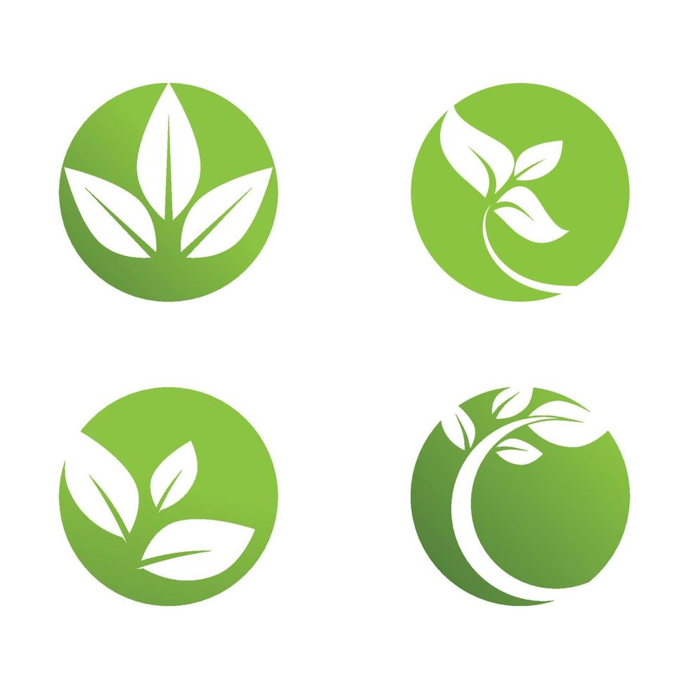 loghi di foglia verde ecologia natura elemento vettoriale