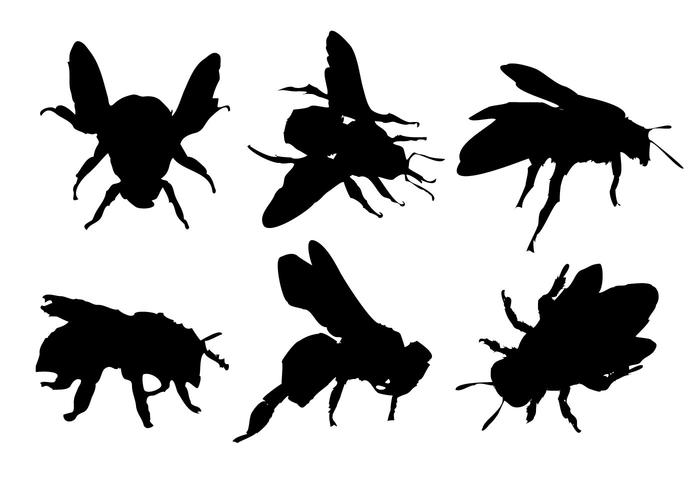 Bee Silhouette vettoriali gratis