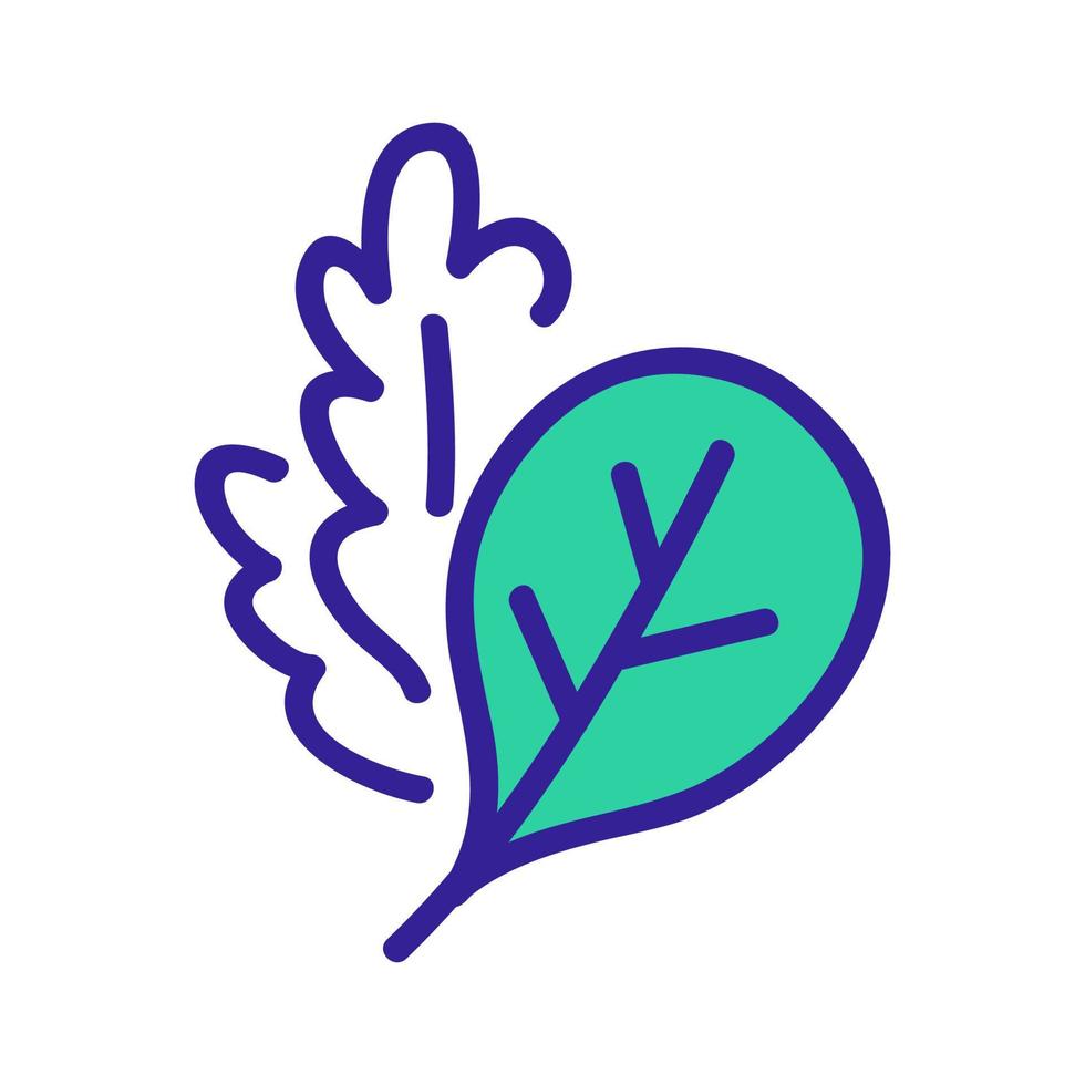 illustrazione del profilo di vettore dell'icona delle piante di foglie di rucola