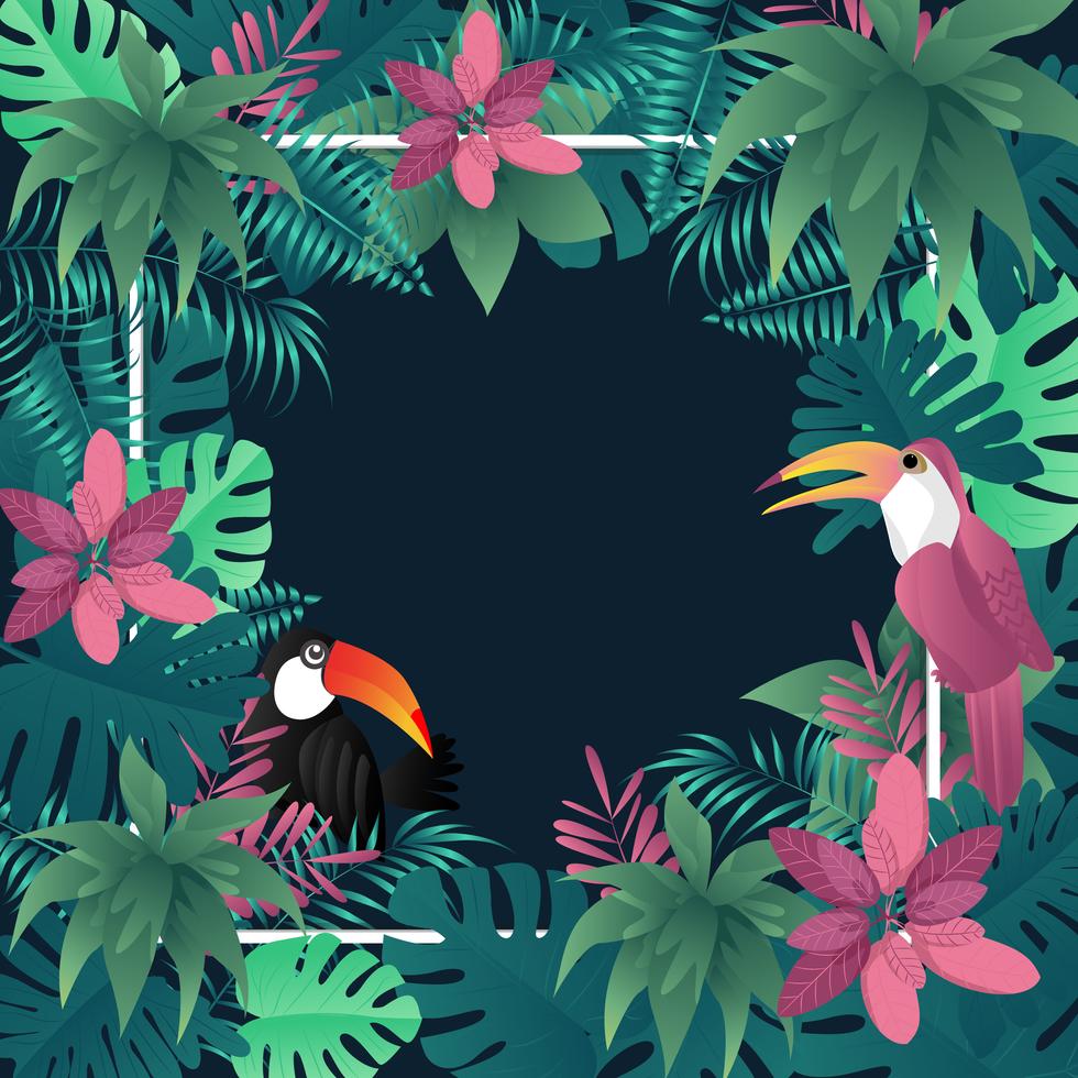 L&#39;immagine tropicale delle foglie di palma della bandiera dell&#39;estate di vettore di uccelli.