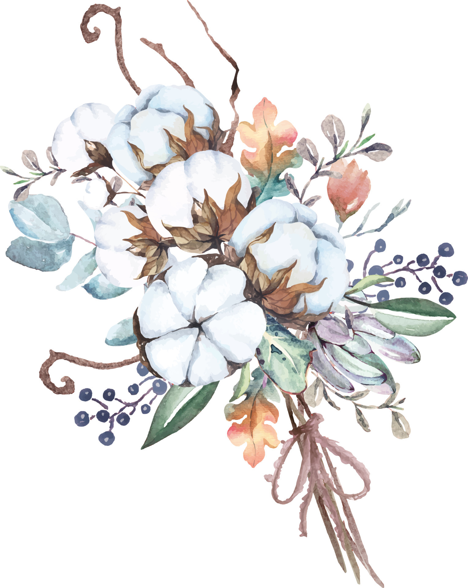 fiori di cotone ad acquerello disegnati a mano.adatto per decorare  biglietti d'invito in stile vintage.bouquet di fiori. 8371206 Arte  vettoriale a Vecteezy