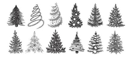 illustrazione disegnata a mano dell'albero di natale vettore