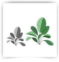 elementi di design vettoriale insieme raccolta di felce foresta verde, eucalipto verde tropicale verde arte fogliame foglie naturali erbe in stile acquerello. illustrazione elegante di bellezza decorativa per il design