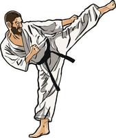 allenamento di calcio di karate vettore
