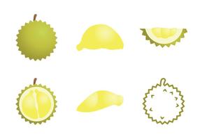 Illustrazione vettoriale di Durian gratis