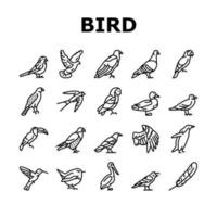 uccello volante animale con icone di piume set vettoriale
