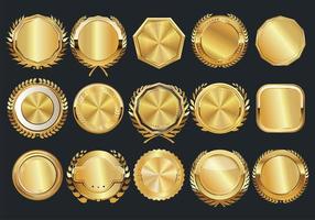 collezione di distintivi dorati ed etichette in stile retrò vettore