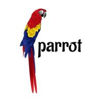 bella illustrazione vettoriale di uccello pappagallo colorato