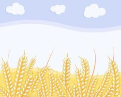 paesaggio, spighe di grano, campo e cielo con nuvole. illustrazione autunnale, cartolina, vettore