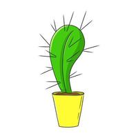 insieme variopinto dell'illustrazione di doodle del cactus. vettore