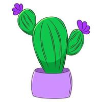 insieme variopinto dell'illustrazione di doodle del cactus. vettore