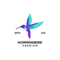 disegno dell'icona del logo completo di colore del colibrì vettore