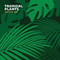 sfondo di piante tropicali vettore