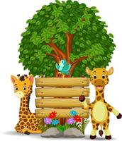 due giraffe e uccelli davanti a un cartello di legno vuoto vettore