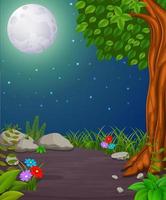 foresta di notte e bosco con luna piena vettore