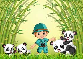 due simpatici panda in una foresta di bambù vettore